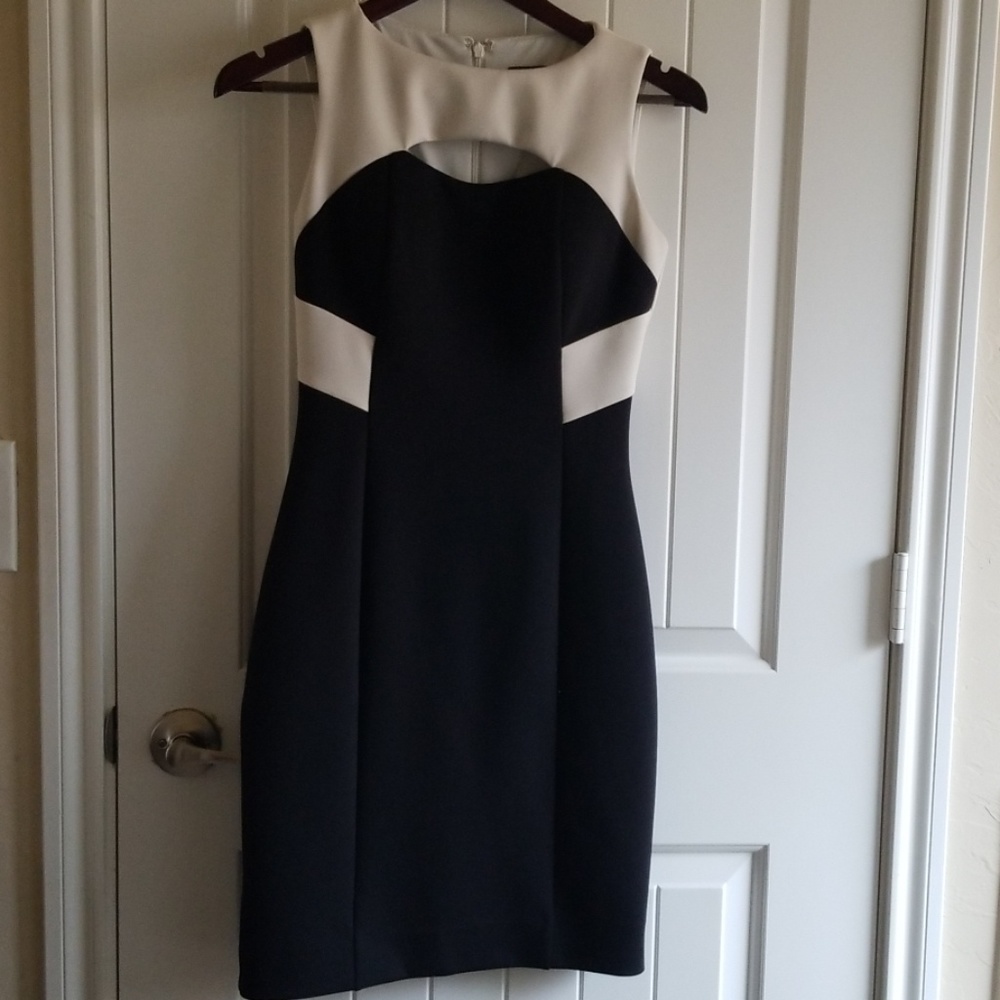 Vince Camuto dress